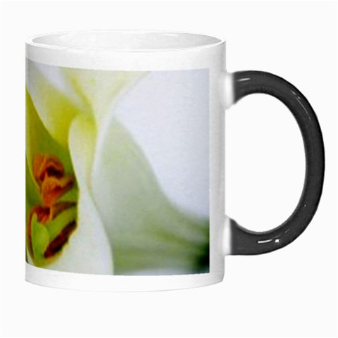 The White Flower  Morph Mug from UrbanLoad.com Right