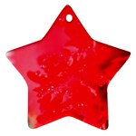 The Red Flower 5  Ornament (Star)