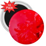The Red Flower 5  3  Magnet (10 pack)