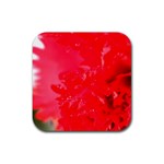The Red Flower 5  Rubber Square Coaster (4 pack)