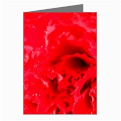 The Red Flower 5  Greeting Cards (Pkg of 8) from UrbanLoad.com Left