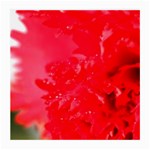 The Red Flower 5  Glasses Cloth (Medium)
