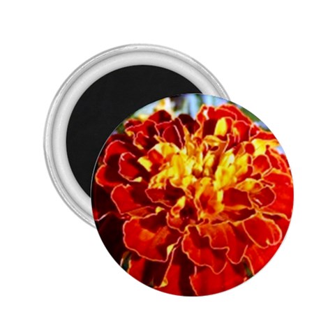 The Red Flowers  2.25  Magnet from UrbanLoad.com Front