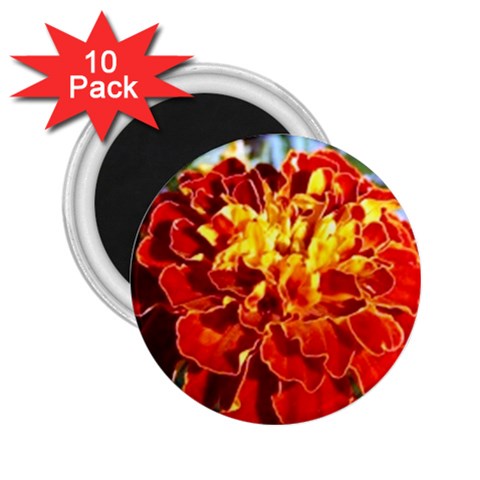 The Red Flowers  2.25  Magnet (10 pack) from UrbanLoad.com Front