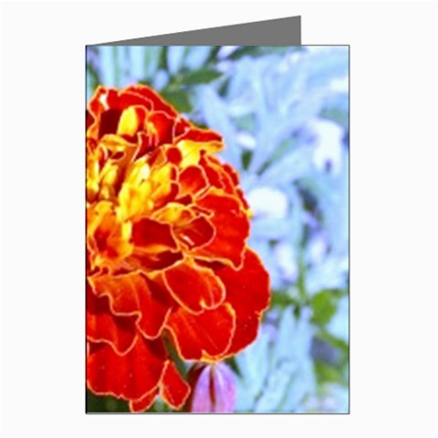 The Red Flowers  Greeting Cards (Pkg of 8) from UrbanLoad.com Left