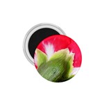 The Red Flower 2  1.75  Magnet