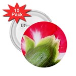 The Red Flower 2  2.25  Button (10 pack)