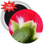 The Red Flower 2  3  Magnet (10 pack)