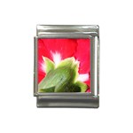The Red Flower 2  Italian Charm (13mm)