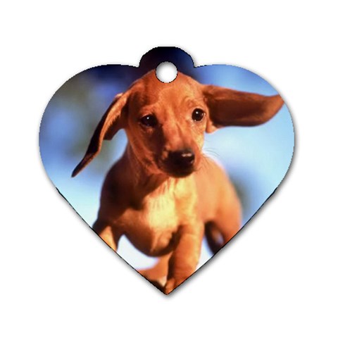 Dog Tag Heart (One Side) from UrbanLoad.com Front