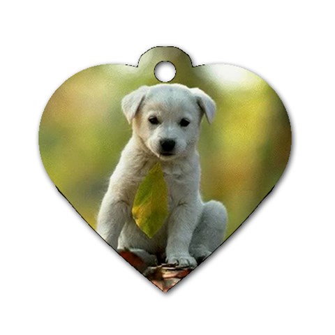 Dog Tag Heart (One Side) from UrbanLoad.com Front