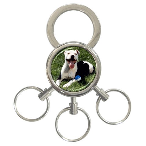 Puppy 3 Front