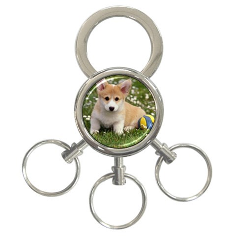 Puppy 3 Front