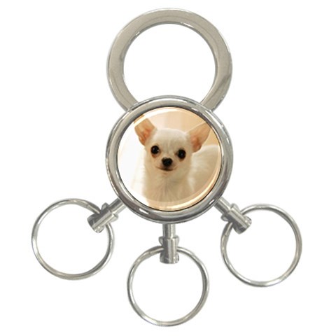 Puppy 3 Front
