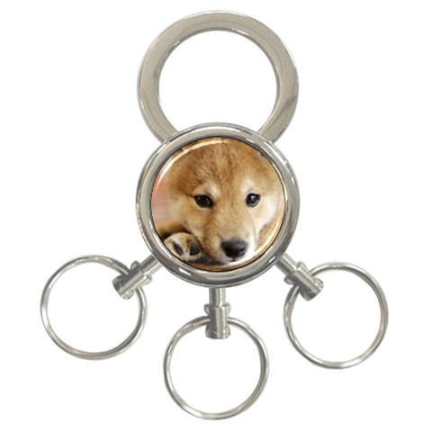 Puppy 3 Front