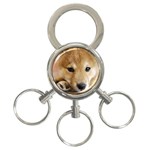 Puppy 3-Ring Key Chain