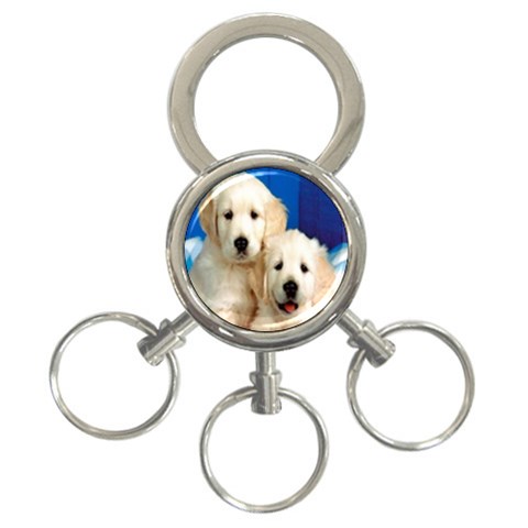 Puppy 3 Front