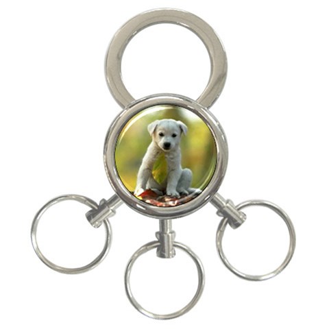 Puppy 3 Front