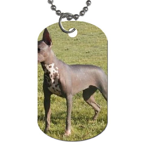 Mexican Hairless Dog Tag (One Side) from UrbanLoad.com Front