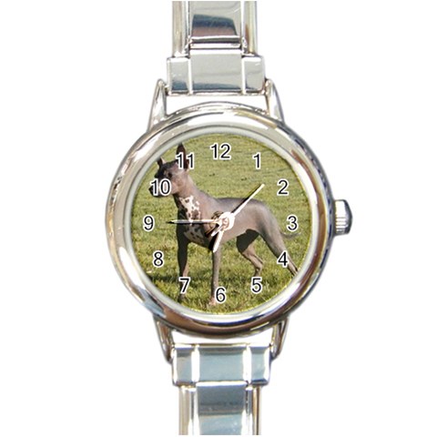 Mexican Hairless Round Italian Charm Watch from UrbanLoad.com Front