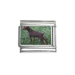 Miniature Pinscher Italian Charm (9mm)