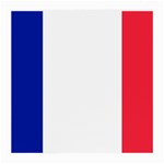 French Flag Glasses Cloth (Medium)