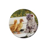 Kitty & Friends Rubber Round Coaster (4 pack)