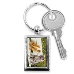 Kitty & Friends Key Chain (Rectangle)