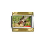 Hummingbird Gold Trim Italian Charm (9mm)