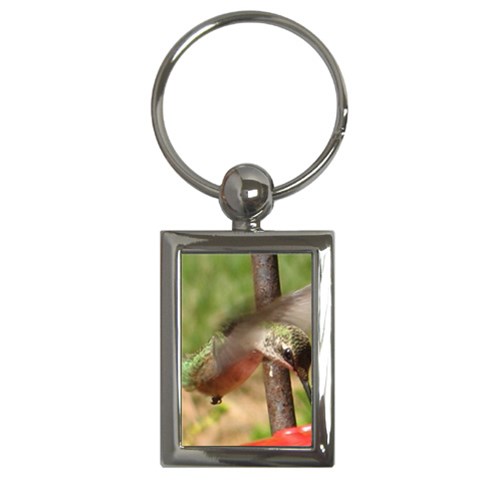 Hummingbird Key Chain (Rectangle) from UrbanLoad.com Front