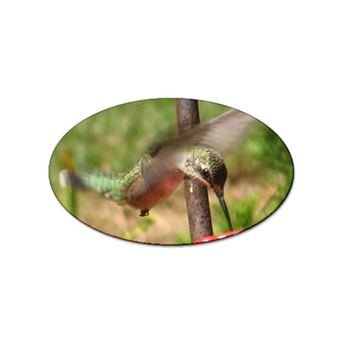 Hummingbird Sticker (Oval) from UrbanLoad.com Front