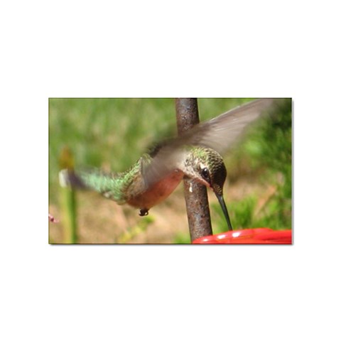 Hummingbird Sticker (Rectangular) from UrbanLoad.com Front
