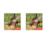 Hummingbird Cufflinks (Square)
