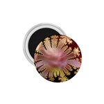 abstract-flowers-984772 1.75  Magnet