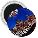 2-74-Animals-Wildlife-1024-007 3  Magnet