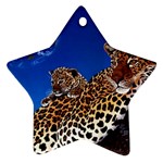 2-74-Animals-Wildlife-1024-007 Ornament (Star)