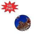 2-74-Animals-Wildlife-1024-007 1  Mini Magnet (100 pack) 