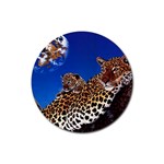 2-74-Animals-Wildlife-1024-007 Rubber Coaster (Round)