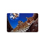 2-74-Animals-Wildlife-1024-007 Magnet (Name Card)