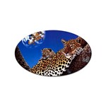 2-74-Animals-Wildlife-1024-007 Sticker Oval (10 pack)