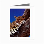 2-74-Animals-Wildlife-1024-007 Mini Greeting Cards (Pkg of 8)