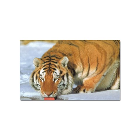 tiger_4 Sticker (Rectangular) from UrbanLoad.com Front