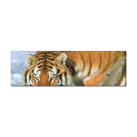 tiger_4 Sticker (Bumper) from UrbanLoad.com Front