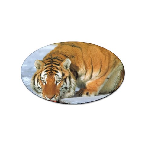 tiger_4 Sticker Oval (100 pack) from UrbanLoad.com Front