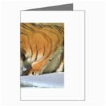 tiger_4 Greeting Card