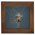 The Web Master Framed Tile