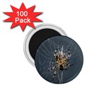 The Web Master 1.75  Magnet (100 pack) 