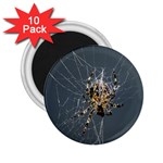 The Web Master 2.25  Magnet (10 pack)