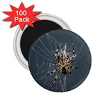 The Web Master 2.25  Magnet (100 pack) 