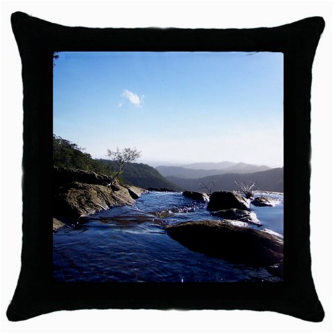 100_0405 Throw Pillow Case (Black) from UrbanLoad.com Front